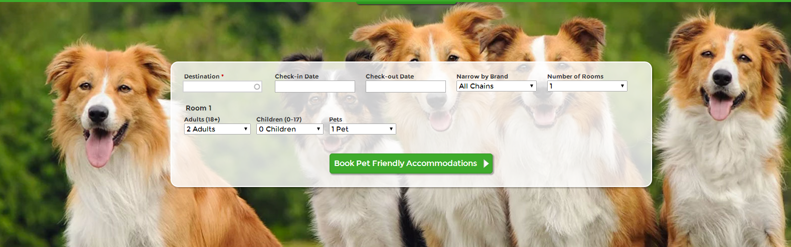 携带着宠物旅行网站官网